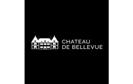 Chateau de Bellevue