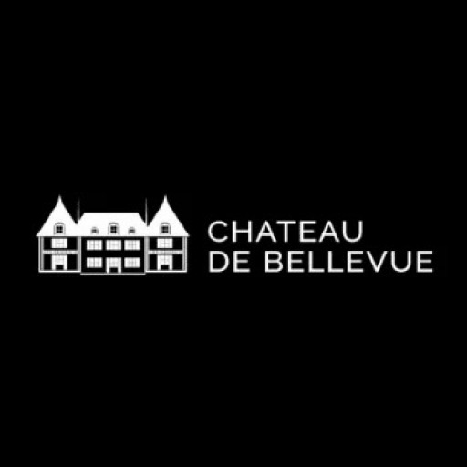 Chateau De Bellevue 